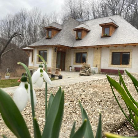 Vălenii de Munte Casa Cu Sindrilaヴィラ エクステリア 写真