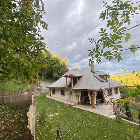 Vălenii de Munte Casa Cu Sindrilaヴィラ エクステリア 写真