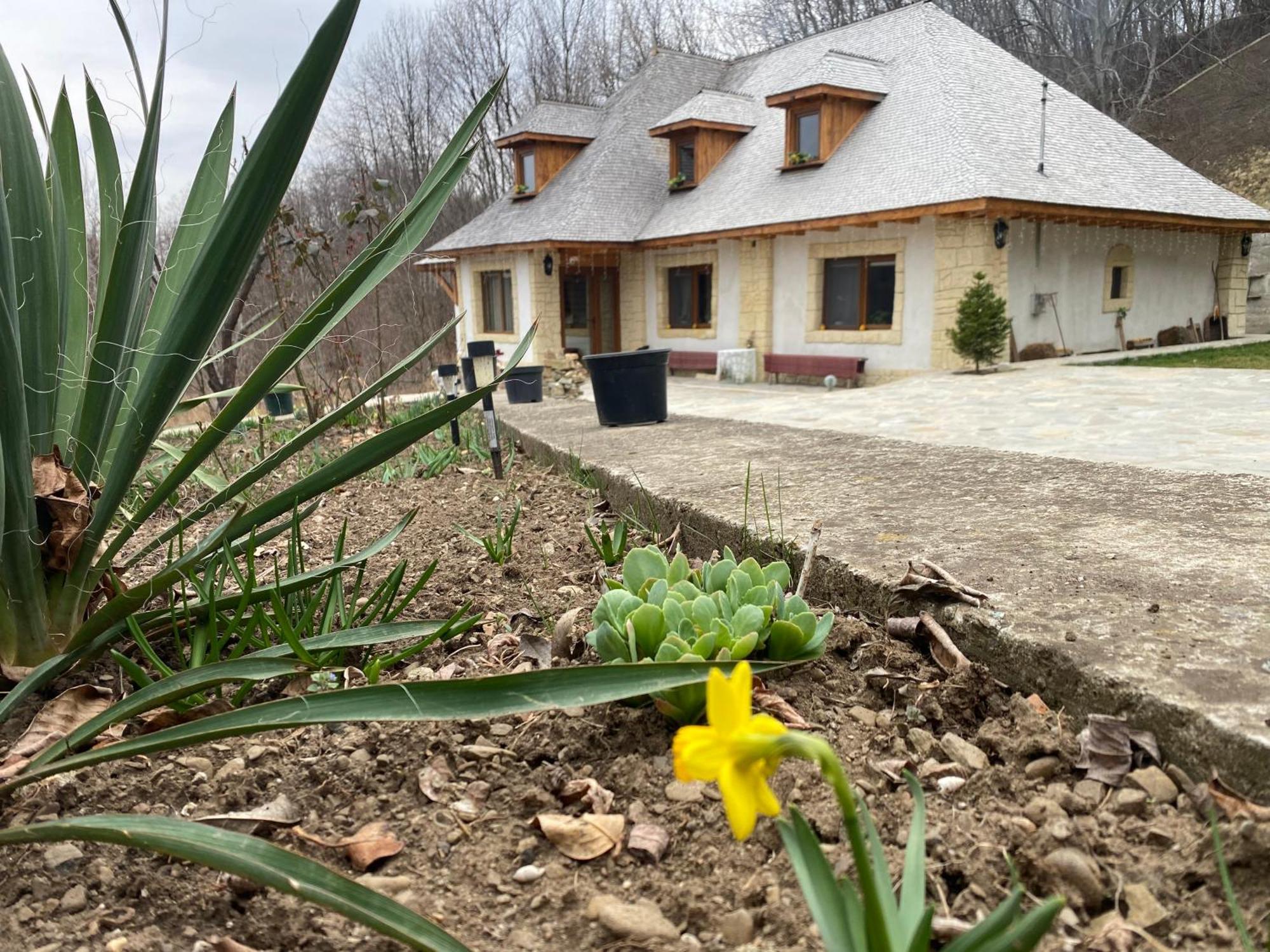 Vălenii de Munte Casa Cu Sindrilaヴィラ エクステリア 写真