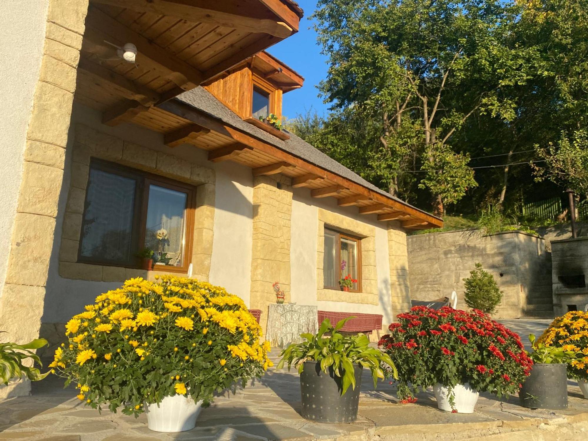 Vălenii de Munte Casa Cu Sindrilaヴィラ エクステリア 写真