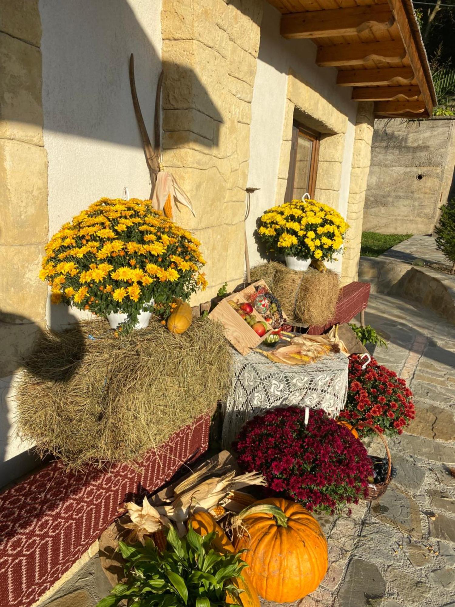 Vălenii de Munte Casa Cu Sindrilaヴィラ エクステリア 写真