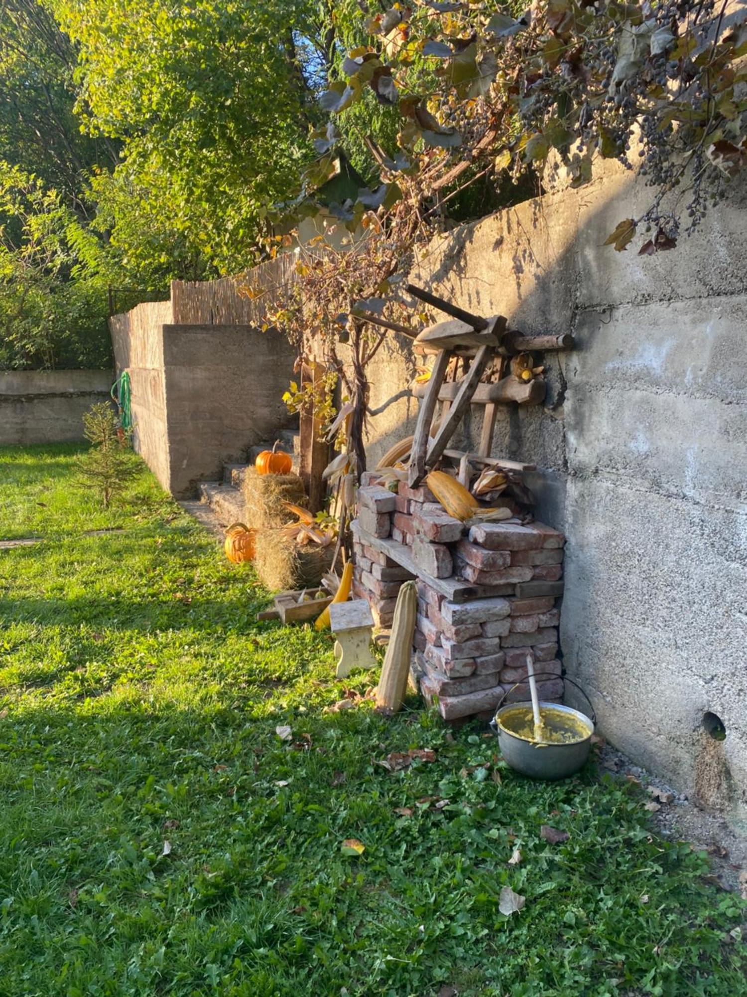 Vălenii de Munte Casa Cu Sindrilaヴィラ エクステリア 写真
