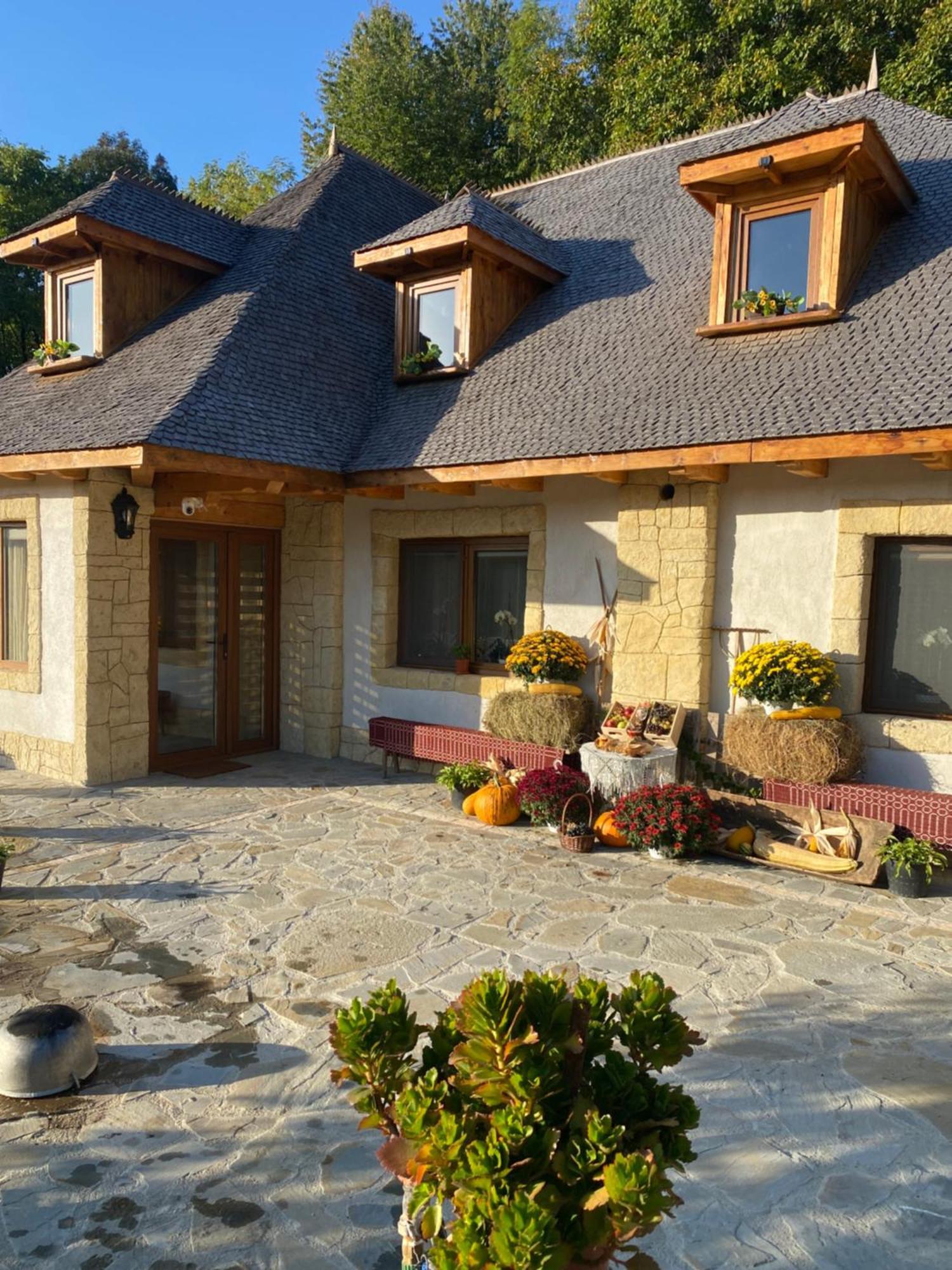 Vălenii de Munte Casa Cu Sindrilaヴィラ エクステリア 写真