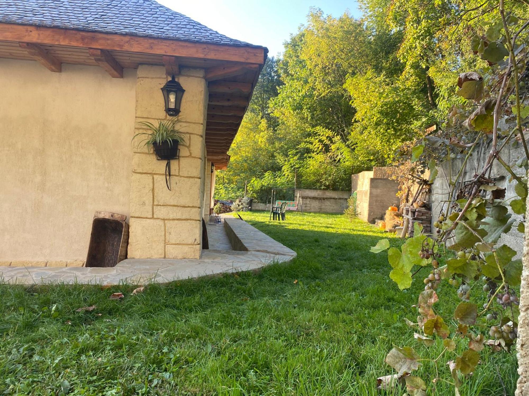 Vălenii de Munte Casa Cu Sindrilaヴィラ エクステリア 写真